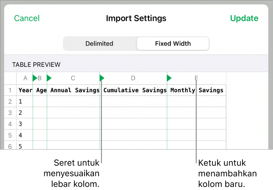 Pengaturan impor untuk file teks lebar tetap.