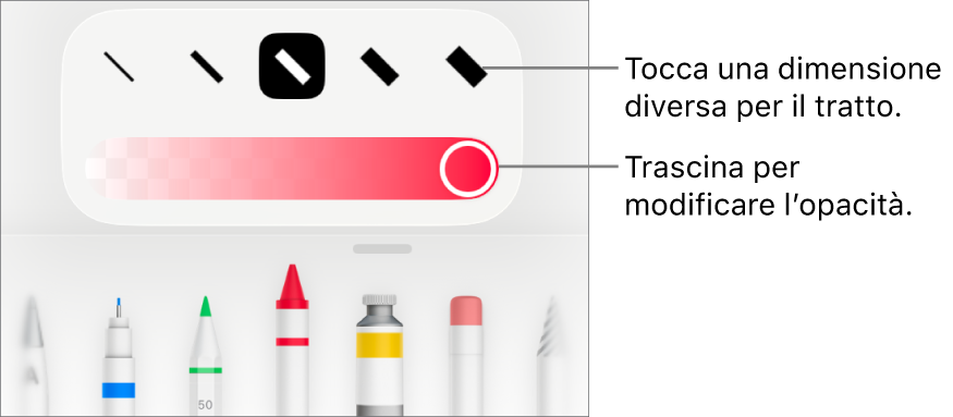 Controlli per scegliere una dimensione tratto e cursore per regolare l’opacità.