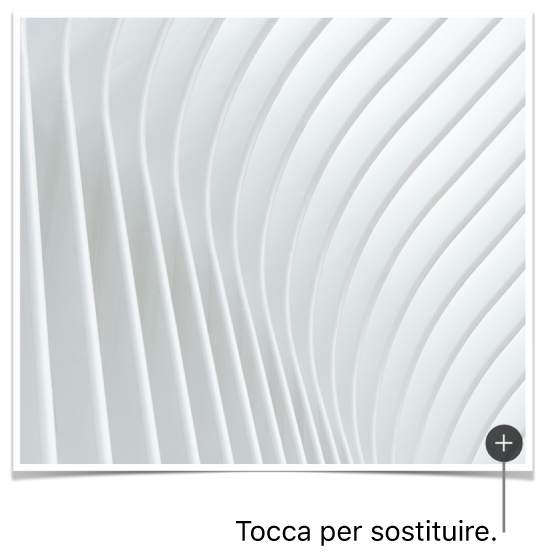 Immagine con un pulsante “Sostituisci immagine”.