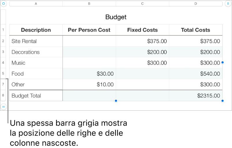 Una spessa barra grigia che mostra la posizione delle righe e colonne nascoste