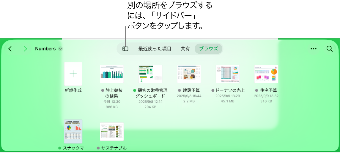 書類マネージャのブラウズビュー。左上隅に場所リンク、その下に検索フィールドがあります。右上隅には、「スプレッドシートを追加」ボタン、「新規フォルダ」ボタン、リスト表示またはアイコン表示を使用したり、名前、日付、サイズ、種類、およびタグでフィルタしたりするためのポップアップメニュー、「選択」ボタンがあります。それらの下に既存のスプレッドシートのサムネールが表示されています。