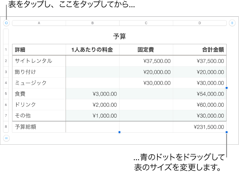 選択された表。サイズを変更するための青いドットが表示された状態。