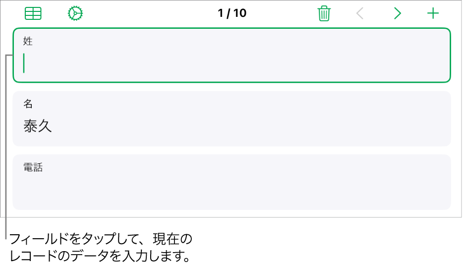 フォームのレコード。挿入ポイントがあるアクティブなフィールドが表示されています。