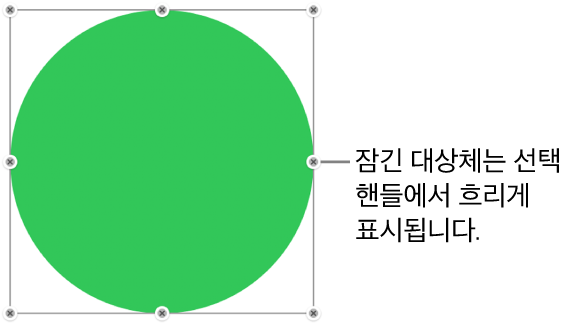 흐리게 표시된 선택 영역 핸들이 있는 잠겨 있는 대상체.