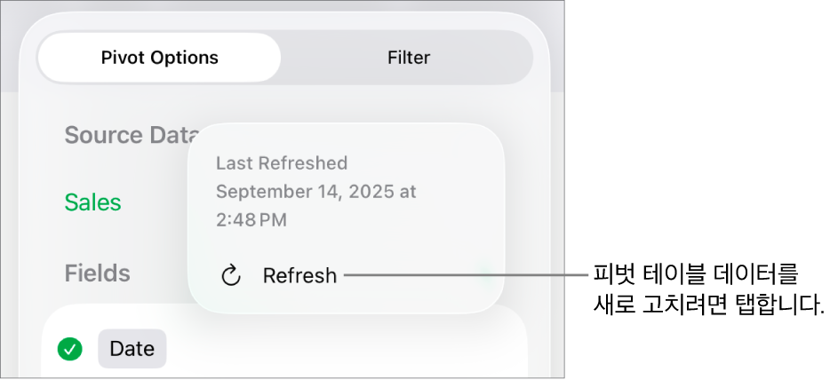 피벗 테이블을 새로고침할 수 있는 옵션을 표시하는 피벗 옵션 메뉴.