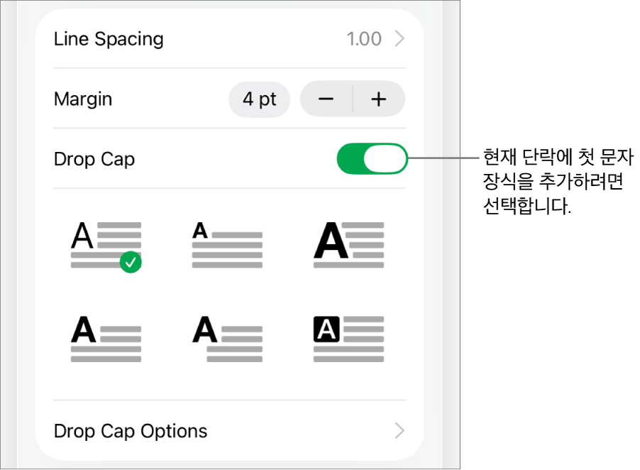 텍스트 메뉴에 위치한 ‘단락의 첫 문자 장식’ 제어기.