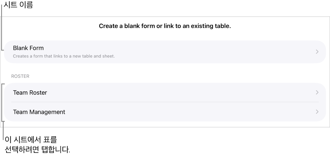 상단에 빈 서식을 생성하는 옵션이 있는 동일한 스프레드시트에 있는 표 목록.