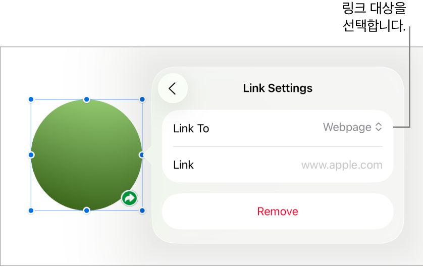 웹 페이지가 선택되어 있고, 하단에 제거 버튼이 있는 링크 설정 제어기.