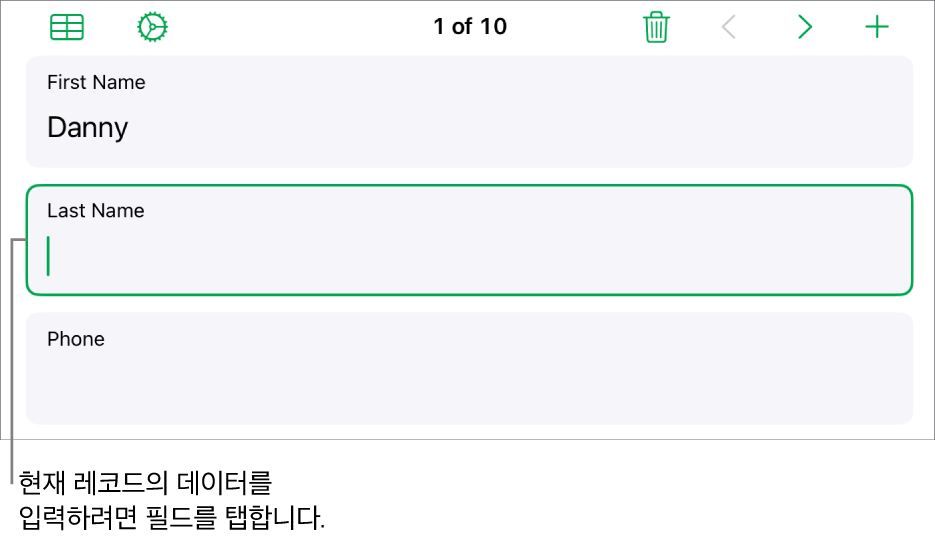 삽입점과 함께 활성화된 필드가 표시된 서식의 레코드.