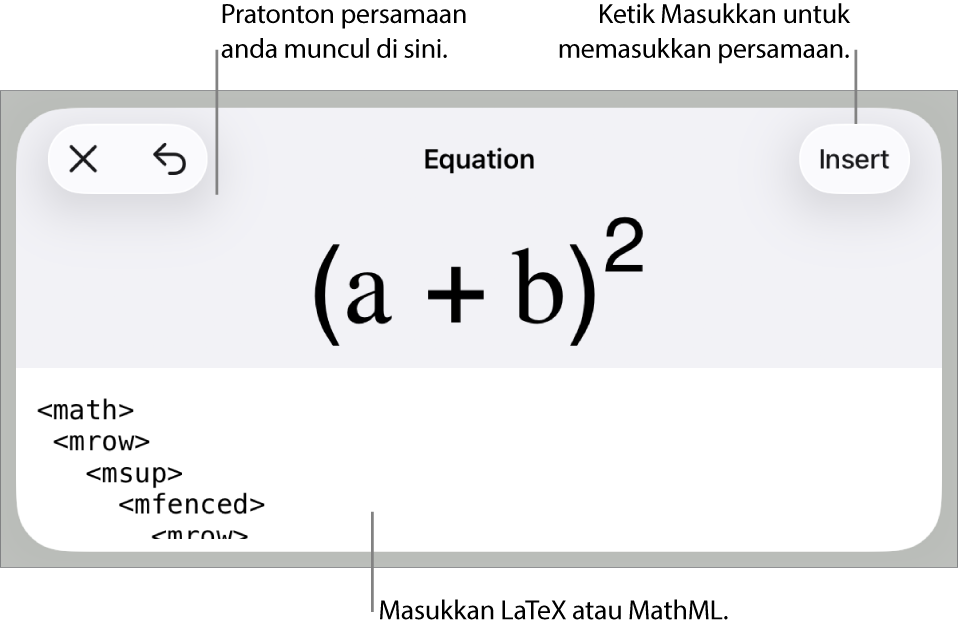 Dialog Persamaan, menunjukkan persamaan yang ditulis menggunakan perintah MathML manakala pratonton formulanya di atas.