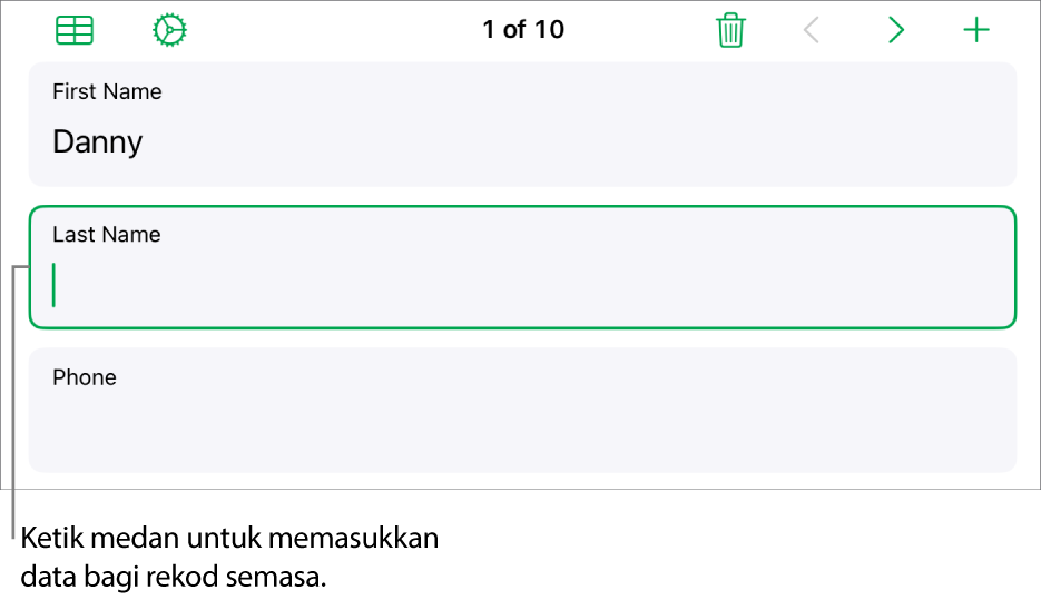 Rekod dalam borang menunjukkan medan aktif dengan titik sisipan.