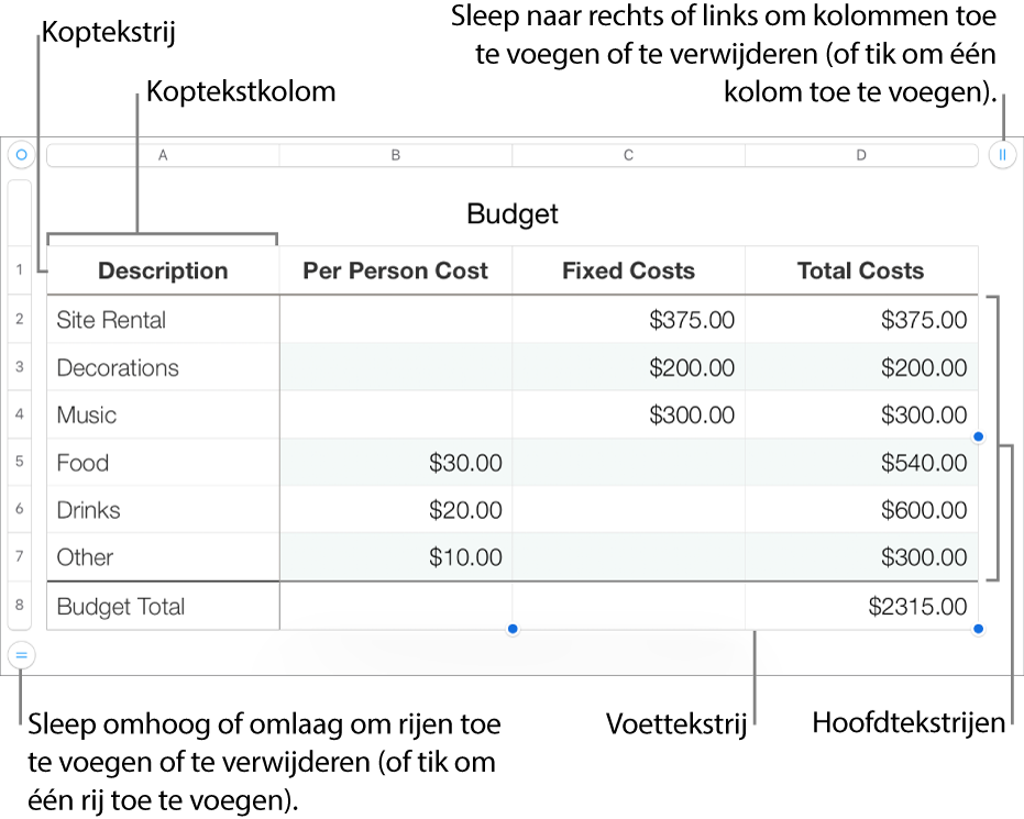 Een tabel met koptekst-, hoofdtekst- en voettekstrijen en -kolommen en selectiegrepen voor het toevoegen of verwijderen van rijen en kolommen.