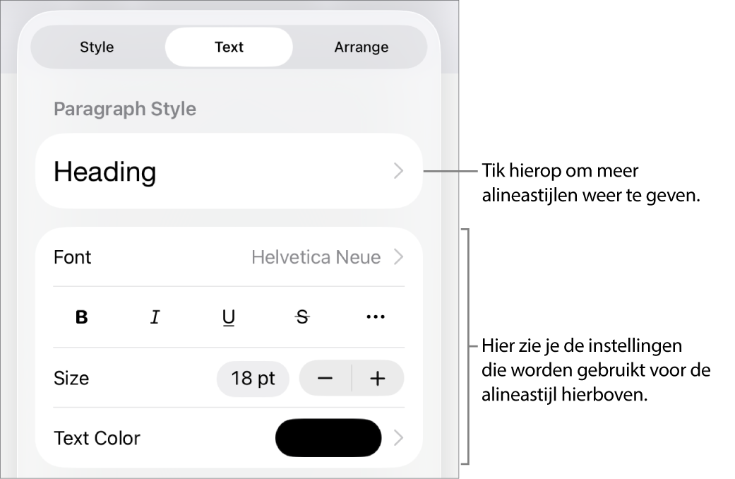 Het opmaakmenu met tekstregelaars voor het instellen van alinea- en tekenstijl, lettertype, lettergrootte en kleur.
