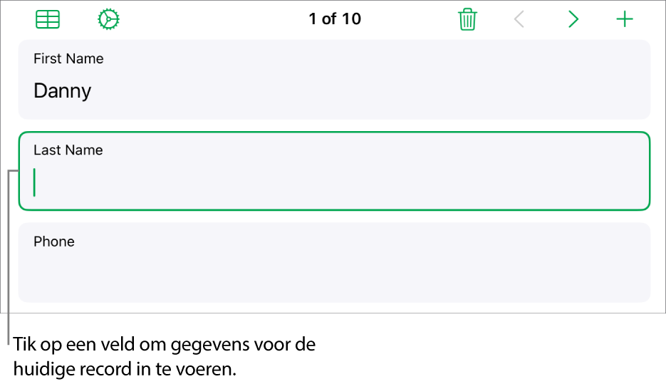 Een record in een formulier met het invoegpunt in een geselecteerd veld.