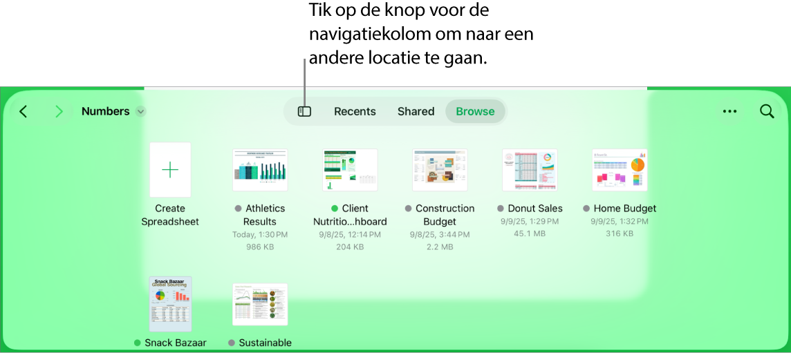 De bladerweergave van de documentweergave met linksboven een link naar andere locaties en daaronder een zoekveld. Rechtsboven staan knoppen voor een nieuwe spreadsheet en een nieuwe map, een pop‑upmenu voor de lijst- of symboolweergave en om te filteren op naam, datum, grootte, soort of tag, en de knop 'Selecteer'. Daaronder staan miniaturen van bestaande spreadsheets.