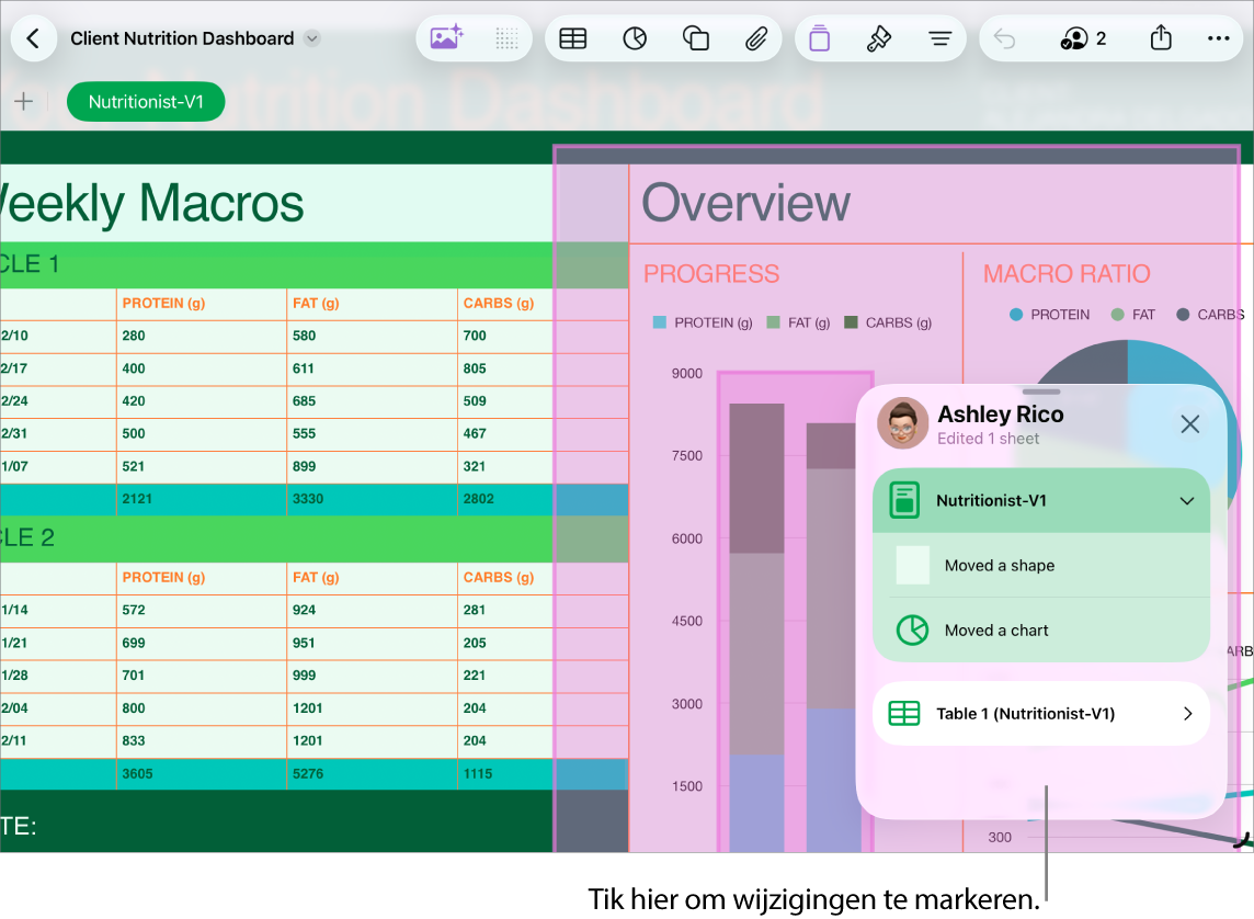 Een gedeelde spreadsheet waarin de activiteitenlijst geopend is.