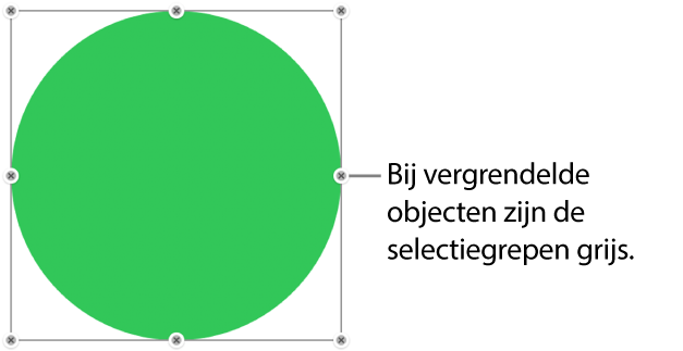 Een vergrendeld object met gedimde selectiegrepen.
