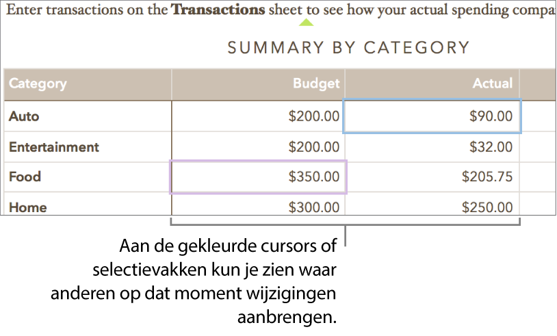 Cursors of selecties in verschillende kleuren geven aan waar anderen wijzigingen aanbrengen.