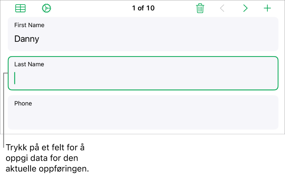 En oppføring i et skjema som viser et aktivt felt med et innsettingspunkt.