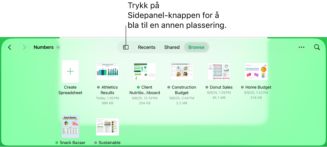 Navigeringsvisningen i dokumenthåndtereren med en plasseringslenke øverst til venstre, og nedenfor den er det et søkefelt. Øverst til høyre er Legg til regneark-knappen; Ny mappe-knappen; en lokalmeny for å bruke liste- eller symbolvisning og for å filtrere etter navn, dato, størrelse, type og etikett; og Marker-knappen. Under dette vises miniatyrer av eksisterende regneark.