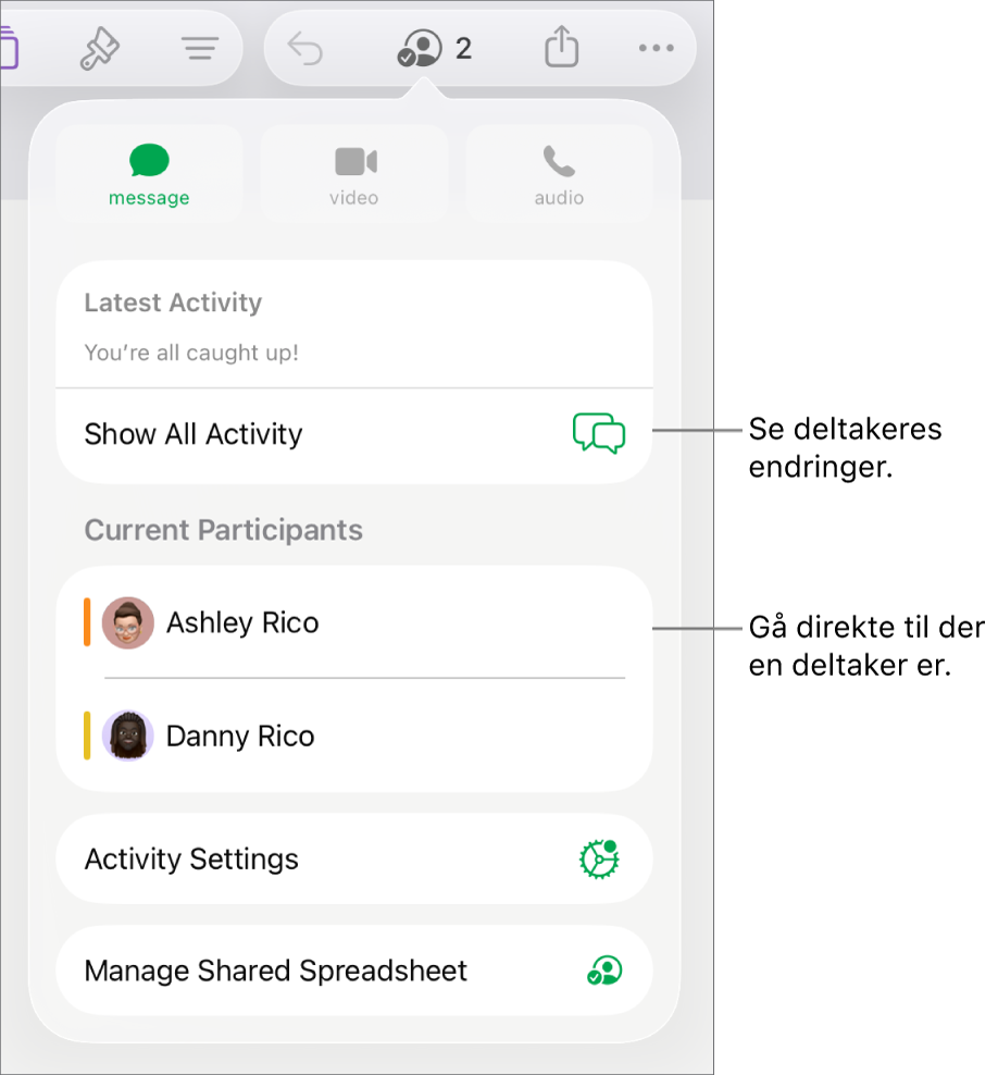 Samarbeidsmenyen, som viser gjeldende deltakere.