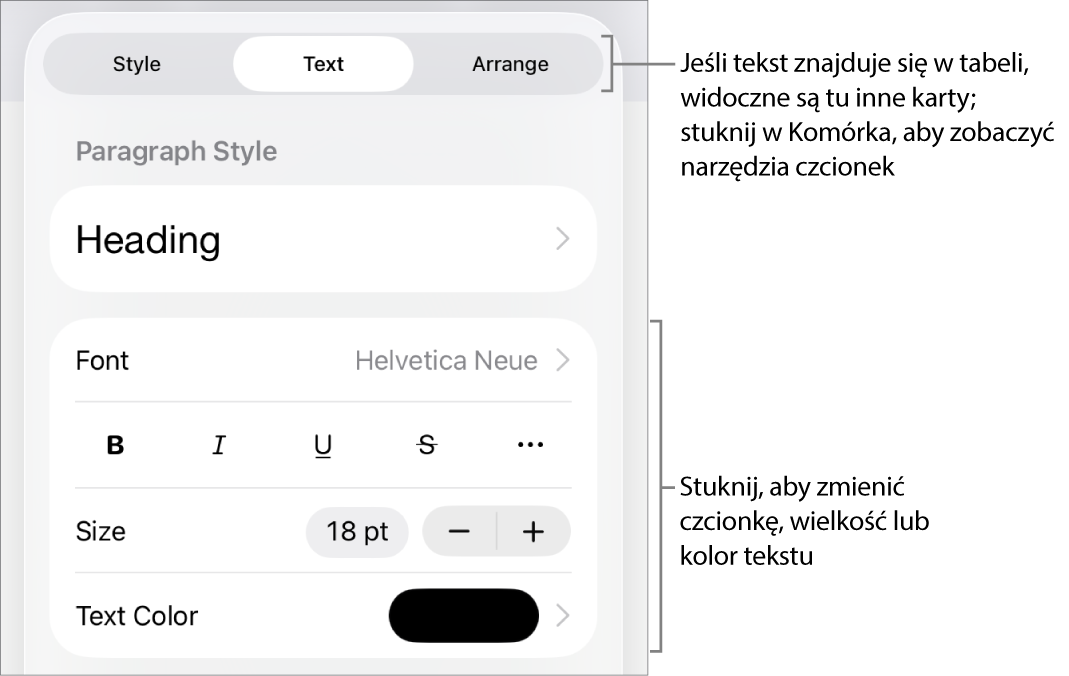 Narzędzia tekstów w menu Format służą do ustawiania stylów akapitu i znaków oraz czcionek ich wielkości i koloru.