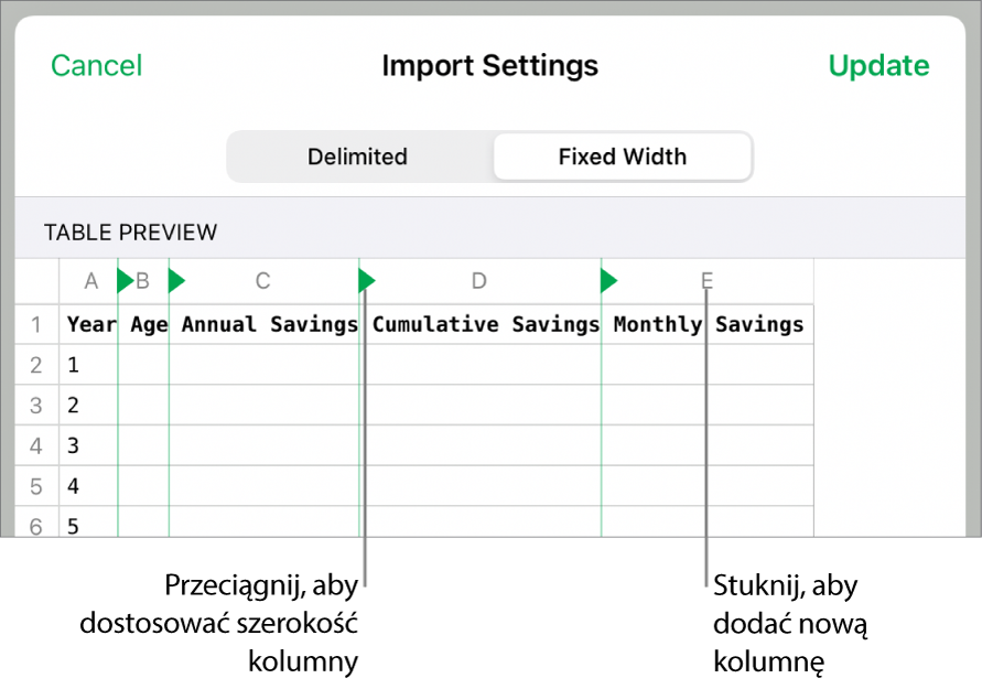 Ustawienia importowania pliku tekstowego o stałej szerokości.