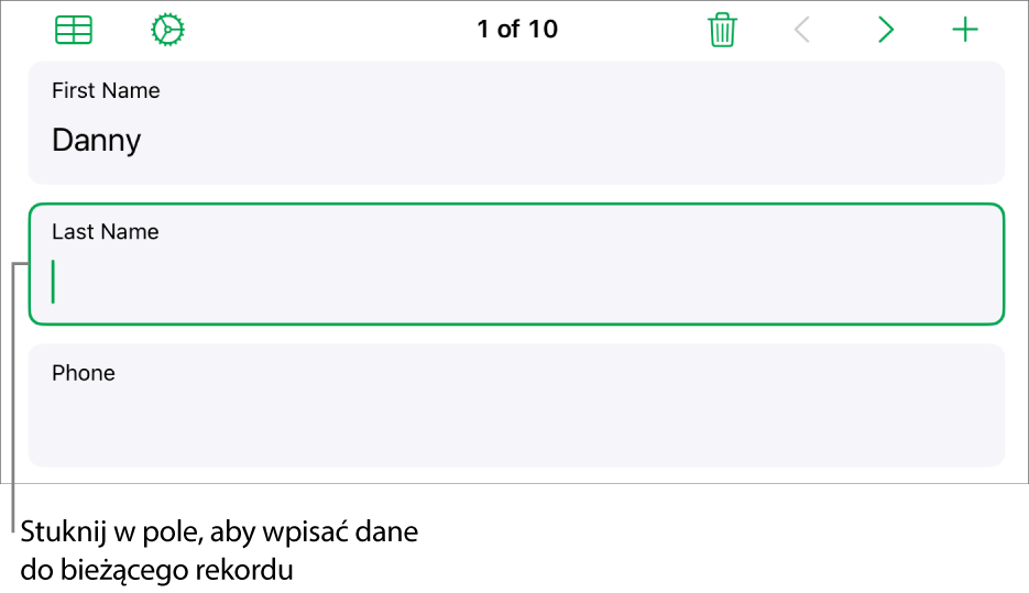 Rekord formularza pokazujący aktywne pole z punktem wstawiania.