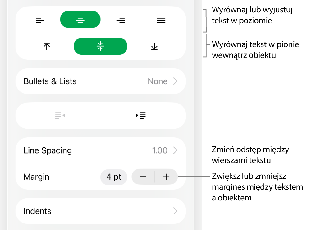 Sekcja Makieta na pasku bocznym Format z opisami wskazującymi przyciski wyrównania i odstępów tekstu.