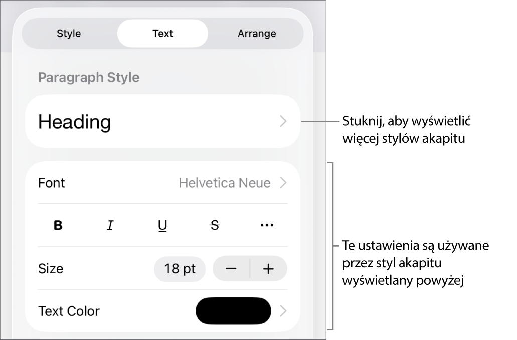 Menu Format z narzędziami tekstu pozwalającymi na ustawianie stylów akapitu, stylów znaków, czcionki, wielkości oraz koloru.