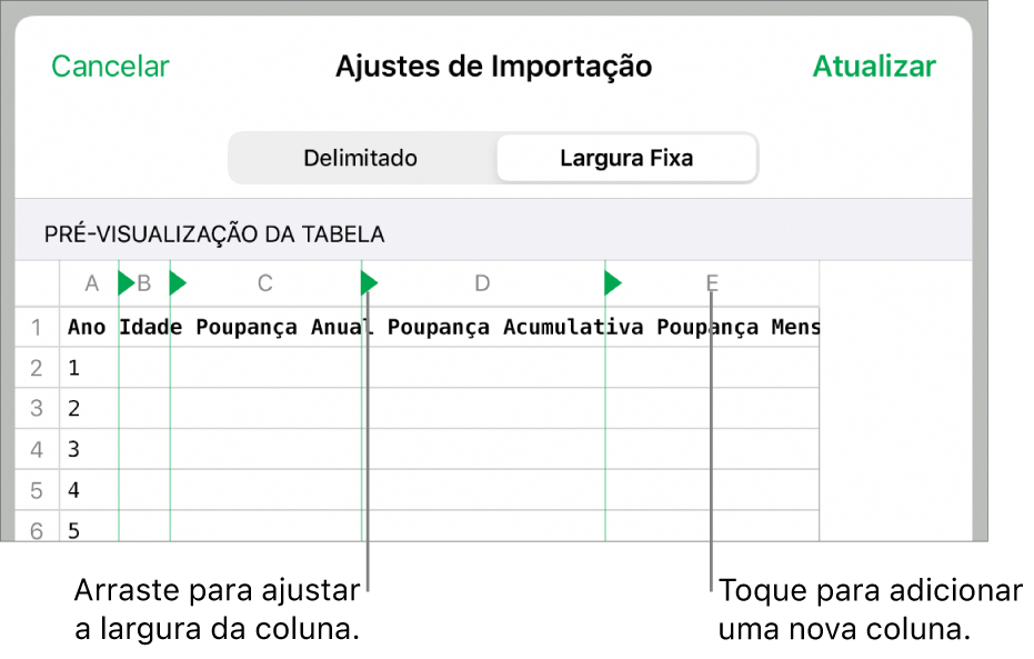 Ajustes de importação para um arquivo de texto de largura fixa.