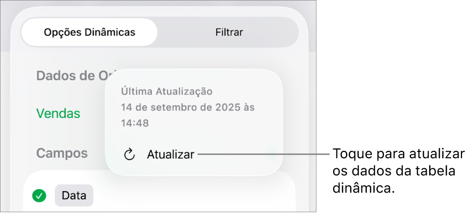 Menu Opções Dinâmicas mostrando a opção de atualizar a tabela dinâmica.