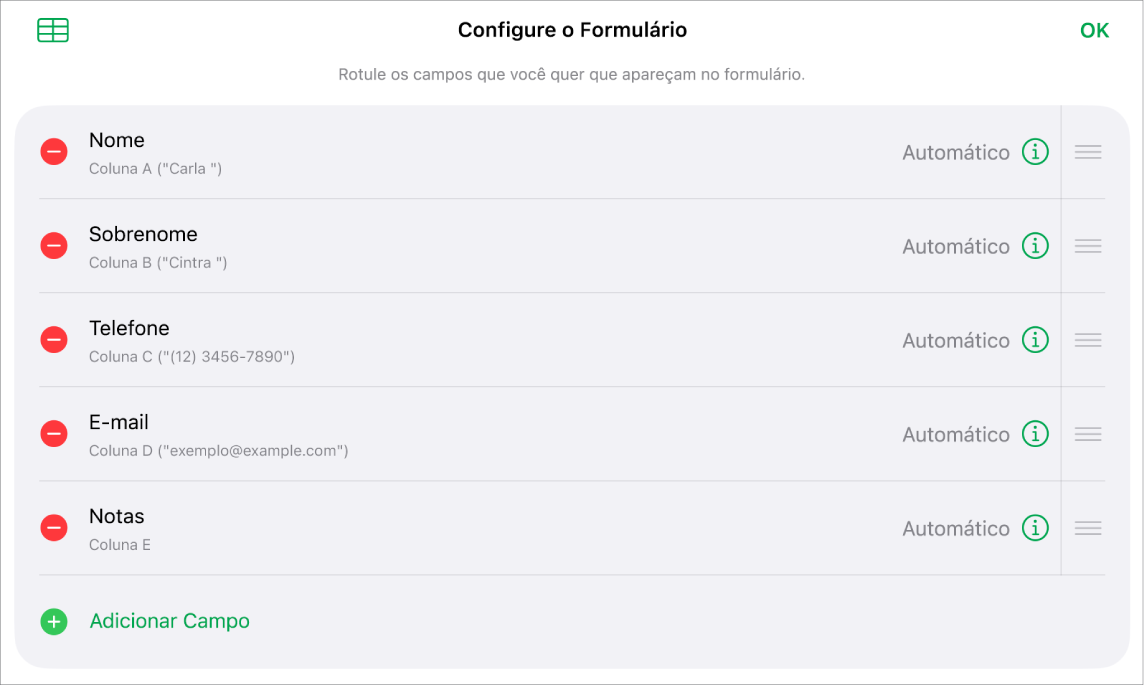 Controles de configuração de forma, mostrando opções para adicionar, editar, reordenar e apagar campos, além de alterar o formato dos campos (como de Texto para Porcentagem).
