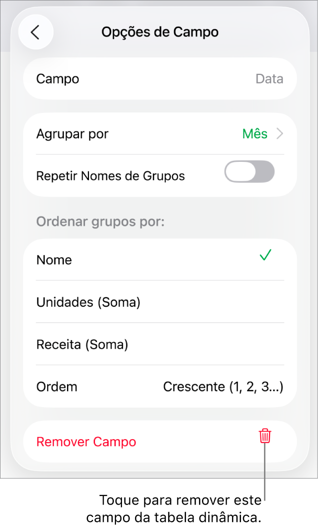 O menu Opções de Campo, mostrando os controles para agrupar e classificar dados, assim como a opção de remover um campo.