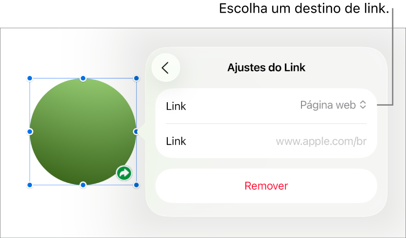 Controles de “Ajustes do Link” com Página Web selecionado e o botão Remover na parte inferior.
