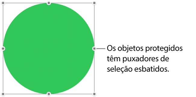 Um objeto protegido com puxadores de seleção esbatidos.