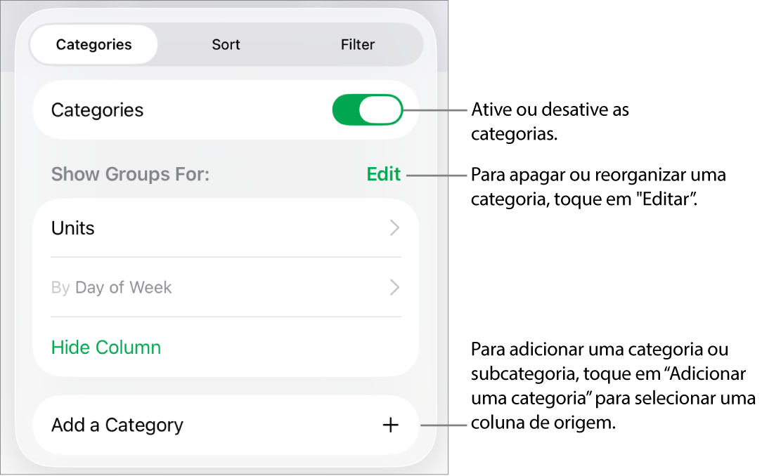 O menu "Categorias” para iPad com opções para desativar as categorias, apagar categorias, reagrupar dados, ocultar uma coluna de origem e adicionar categorias.