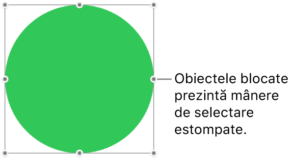 Un obiect blocat cu mânere de selecție estompate.