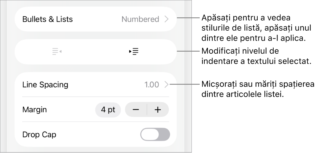 Secțiunea Marcatori/liste din comenzile Format cu explicații pentru Marcatori/liste, butoanele de indentare și indentare exterioară, precum și comenzile pentru spațierea liniilor.