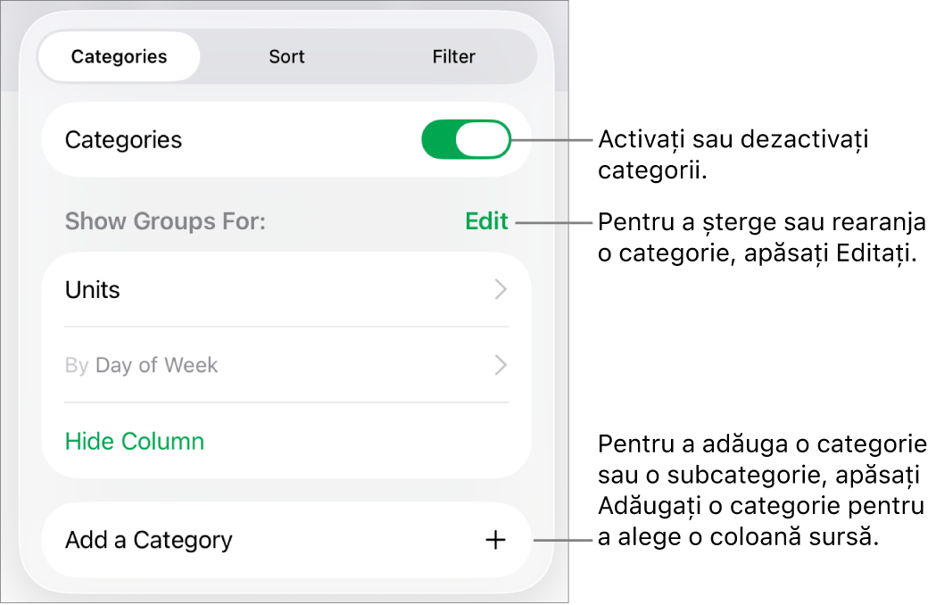 Meniu Categorii pentru iPad cu opțiuni pentru a dezactiva categoriile, șterge categoriile, regrupa datele, ascunde o coloană sursă și a adăuga categorii.