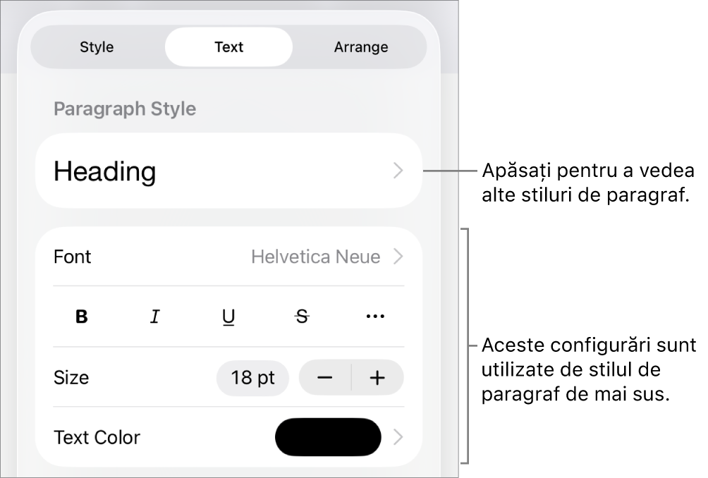 Meniul Format afișând comenzi de text pentru configurarea stilurilor, fonturilor, dimensiunii și culorii paragrafelor și caracterelor.