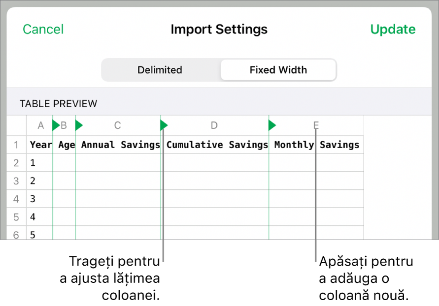 Configurările de importare pentru un fișier de text cu lățime fixă.