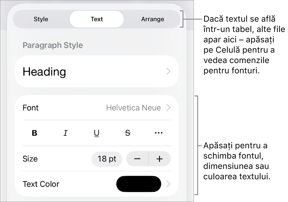 Comenzi text din meniul Format pentru configurarea paragrafelor și a stilurilor, fonturilor, dimensiunii și culorii caracterelor.