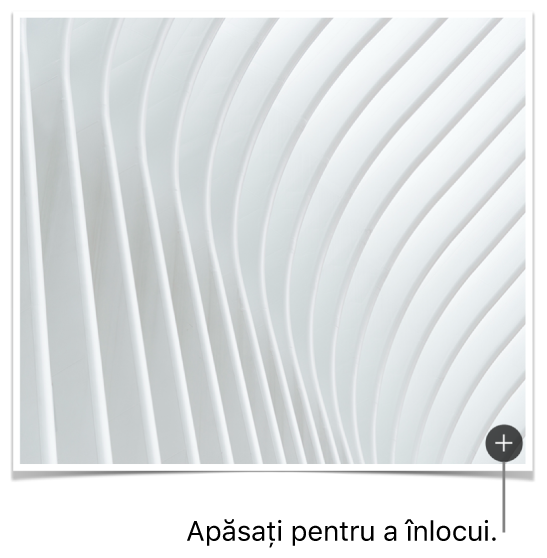 Imagine cu butonul Înlocuiți imaginea.