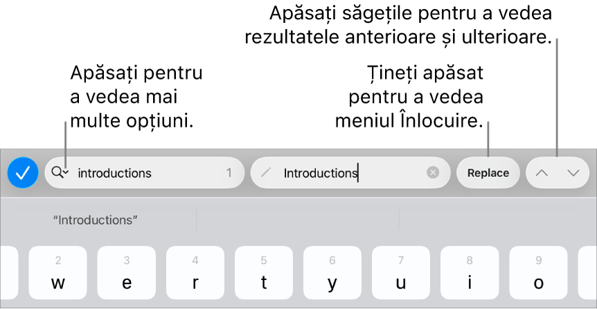 Comenzile Găsește și înlocuiește de deasupra tastaturii, cu explicații pentru butoanele Opțiuni de căutare, Înlocuiți, În sus și În jos.