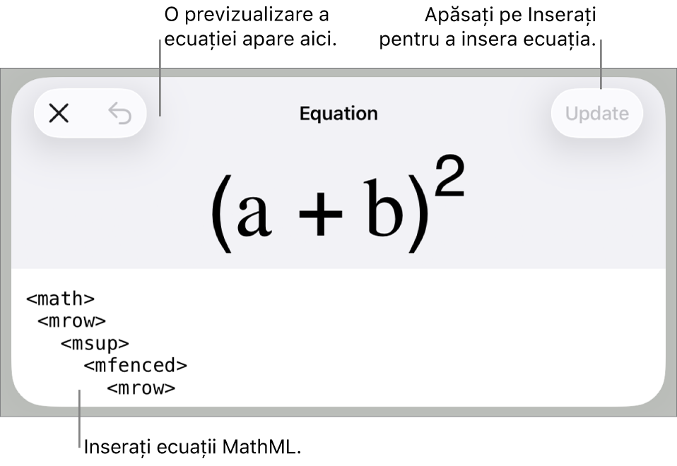 Caseta de dialog Ecuație, afișând o ecuație scrisă cu ajutorul comenzilor MathML și, deasupra, o previzualizare a formulei.