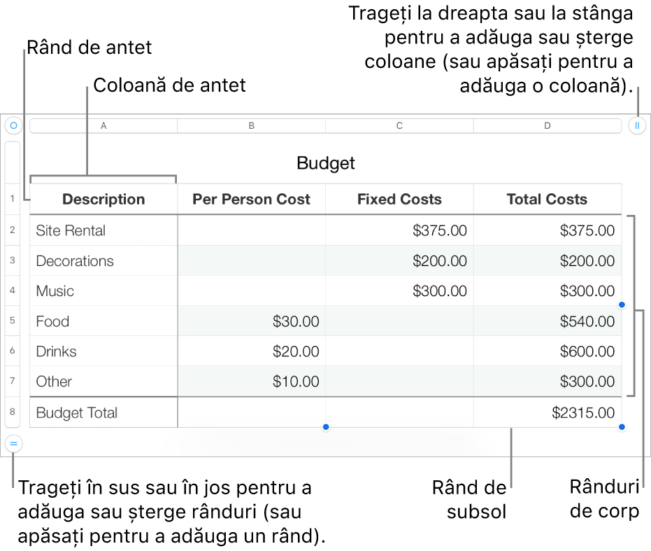 Un tabel, cu rânduri și coloane pentru antet, corp și subsol și mânere pentru adăugarea sau ștergerea rândurilor sau coloanelor.