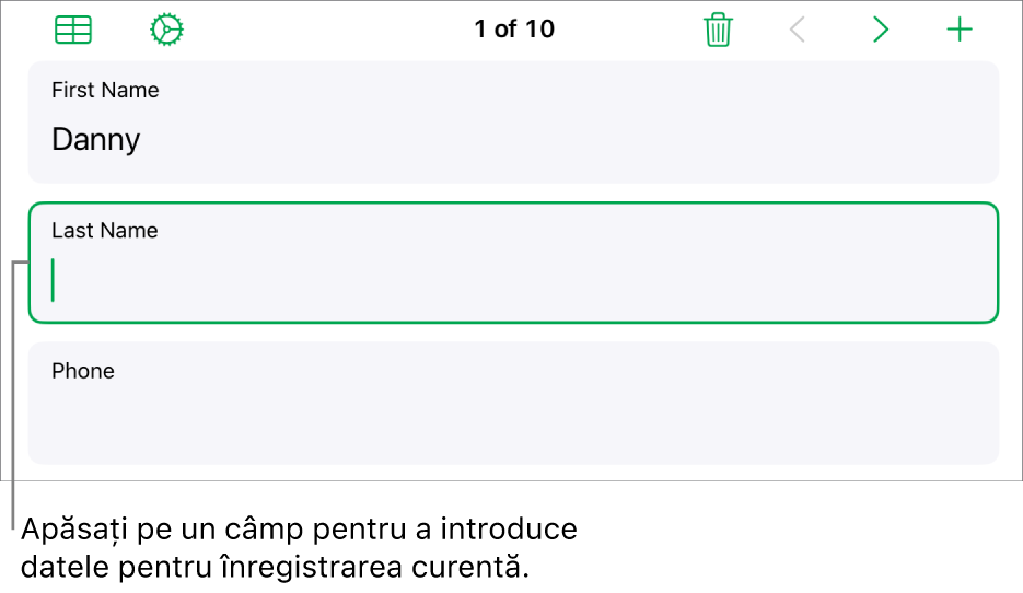 O înregistrare dintr-un formular afișând un câmp activ cu un punct de inserare.