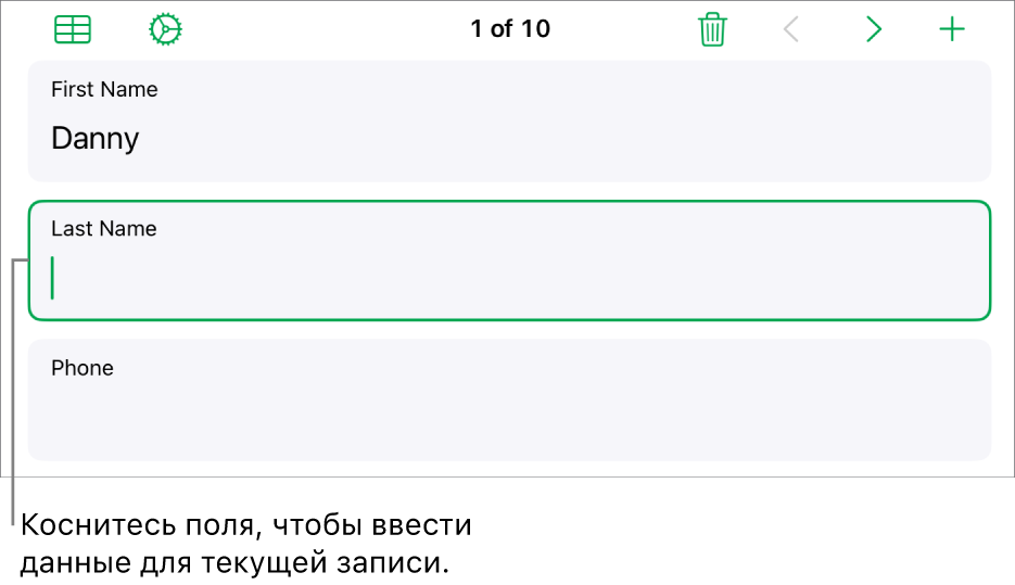 Показана запись в форме. В активном поле находится точка вставки.