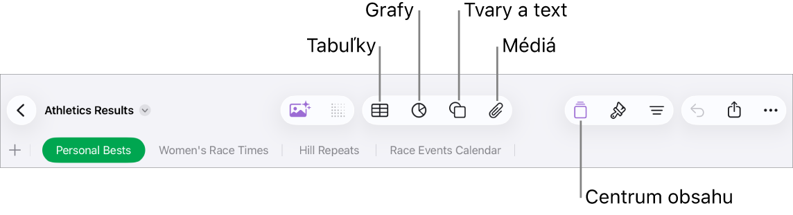 Ovládacie prvky na pridávanie objektu s tlačidlami v hornej časti na výber tabuliek, grafov, tvarov (vrátane čiar a textových polí) a médií.